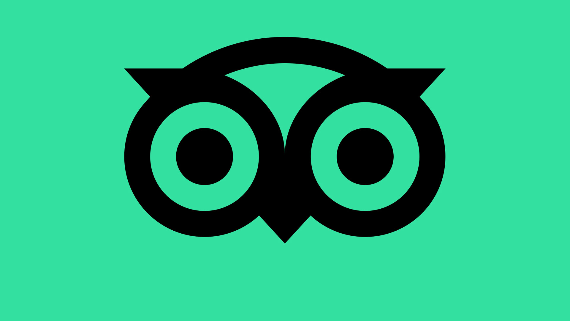 tripadvisor.co.uk